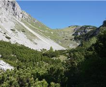 06 salita alla Bocchetta Galim